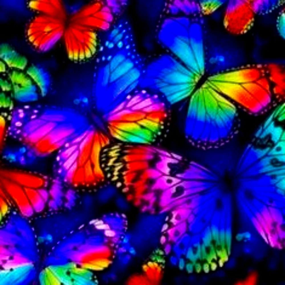 Meet your Posher, Tina